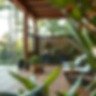 Magnificent Effective Cleaning Solutions for Wood Decks Magnificent Effective Cleaning Solutions for Wood Decks