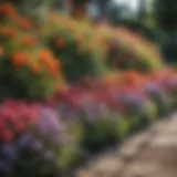 Beautifully edged flower bed showcasing a variety of blooms and textures