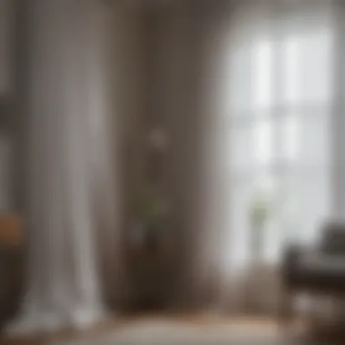 Maintenance of Sheer Curtains with Cleaning Supplies Maintenance of sheer curtains with cleaning supplies