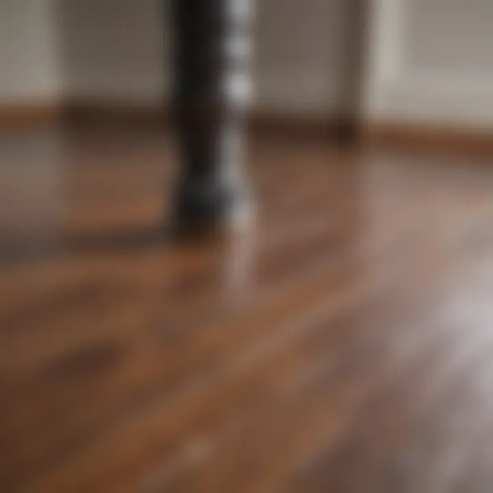 Close-up of a wood floor finish application demonstrating technique and precision