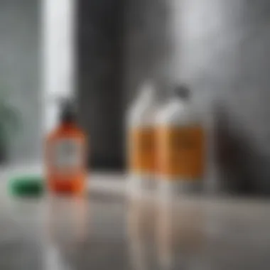 Essential Cleaning Supplies for Mold Elimination Cleaning supplies for mold removal