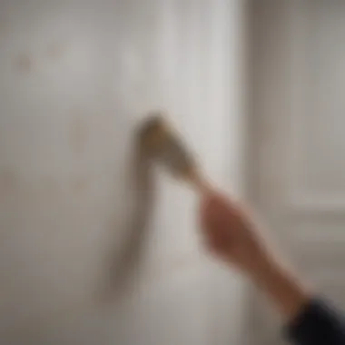 Application of bathroom safe paint on a wall with a brush