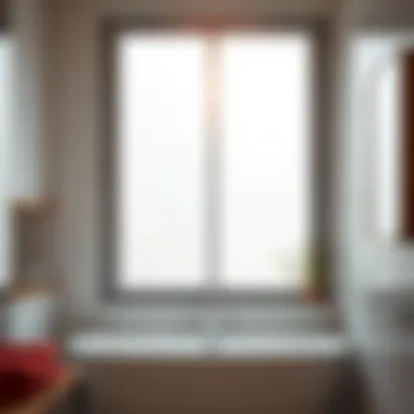 Elegant frosted glass window treatment