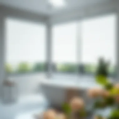 Modern roller shades providing sleek coverage