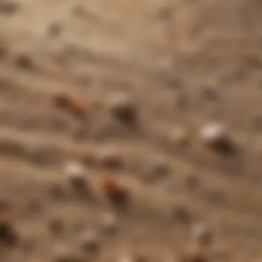 Close-up view of the materials used in beach bedding, highlighting texture and quality