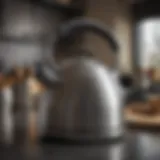 Elegant stainless steel kettle on a countertop