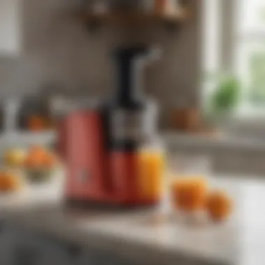 An affordable juicer model showcased on a kitchen countertop