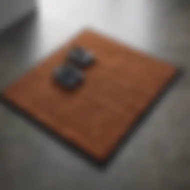 Comparison of different types of doormats