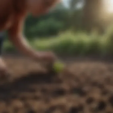 A homeowner analyzing soil before planting grass seeds