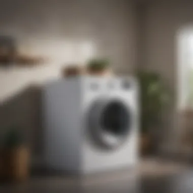 Stylish LG top loader washing machine in modern laundry room