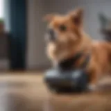 Powerful vacuum designed for pet hair removal