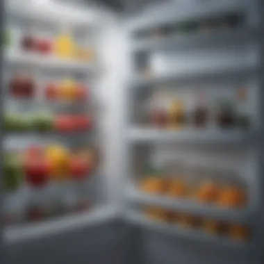 A freshly cleaned refrigerator with bright lighting