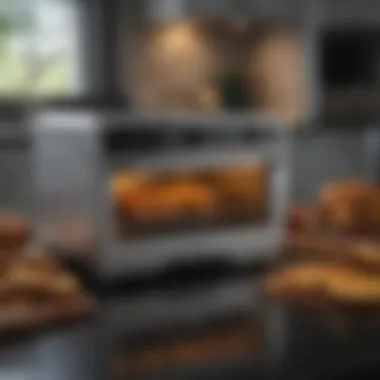 Comparative Insights: Wolf Toaster Oven Air Fryer vs. Traditional Cooking Side-by-side comparison of the Wolf Toaster Oven Air Fryer and traditional ovens