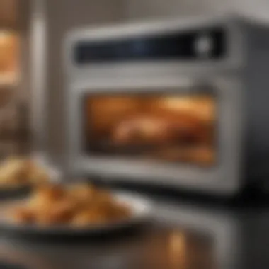 Delicious Outcome from the Wolf Toaster Oven Air Fryer A dish prepared in the Wolf Toaster Oven Air Fryer, highlighting its cooking capabilities
