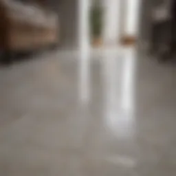 Shining porcelain tile floor after cleaning