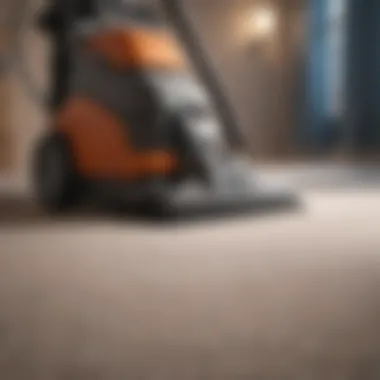 Commercial Carpet Cleaning Equipment in Action