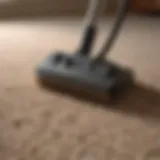 Natural Carpet Cleaning Solutions in a Bottle