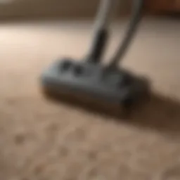 Natural Carpet Cleaning Solutions in a Bottle