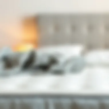 Notable Comprehensive Guide to Cleaning Your Mattress Notable Comprehensive Guide to Cleaning Your Mattress