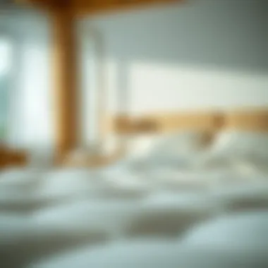 Comprehensive Guide to Cleaning Your Mattress Summary Comprehensive Guide to Cleaning Your Mattress Summary