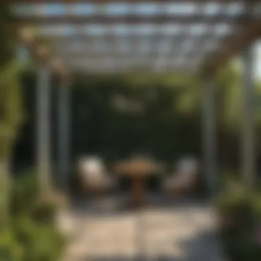 Beautifully maintained pergola in a garden setting