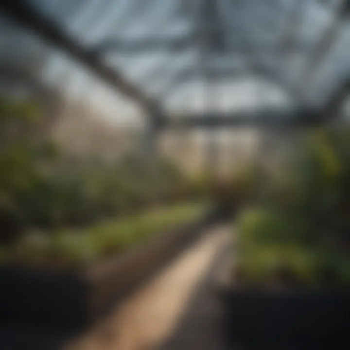 A beautifully constructed DIY greenhouse showcasing seedlings thriving