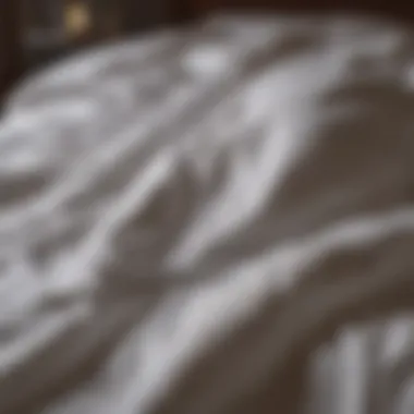 Expert discussing thread count misconceptions