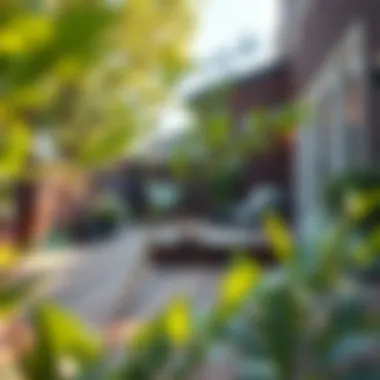 Effective Cleaning Solutions for Wood Decks Summary Effective Cleaning Solutions for Wood Decks Summary