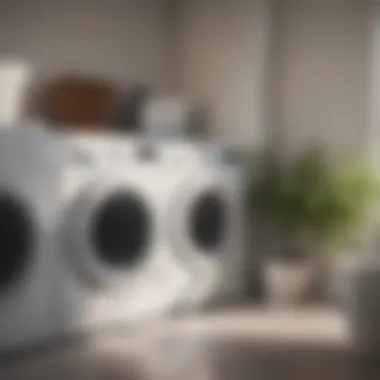 Understanding Environmental Effects Environmental impact of laundry agents