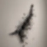Close-up view of black mold on drywall
