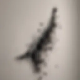 Close-up view of black mold on drywall
