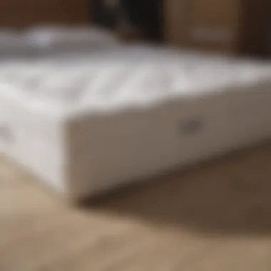 Maintenance Tips for Mattress Hygiene Maintenance tips for mattress hygiene