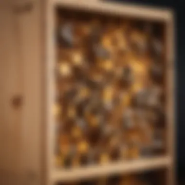 Understanding Hive Components Interior view of a bee box showcasing hive components
