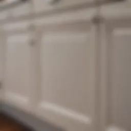 Close-up of freshly painted cabinet surface showcasing smooth finish