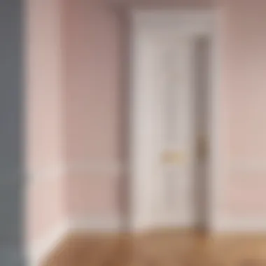 Elegant White Door An elegant white door with intricate molding against a soft pastel wall