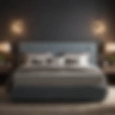 Visual comparison of various bed styles at 30 inch height