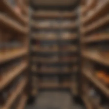 Optimized Storage in Pantry Cabinet Interior of a full-length pantry cabinet with organized storage solutions