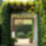 Elegant narrow pergola design with climbing vines