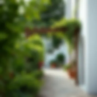 Rustic Narrow Pergola Surrounded by Lush Greenery Rustic narrow pergola surrounded by lush greenery