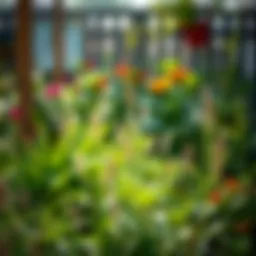 Exploring Plant-Friendly Weed Killers: A Comprehensive Guide Introduction