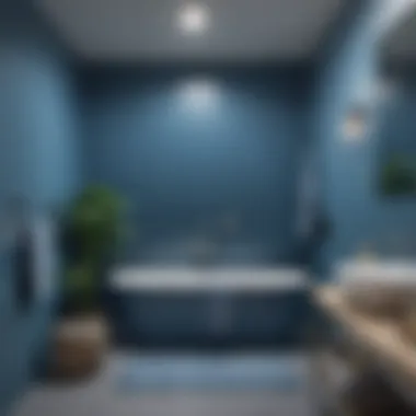 Versatile Gradient Blue Bathroom A bathroom featuring a gradient of blue shades, illustrating versatility in design.