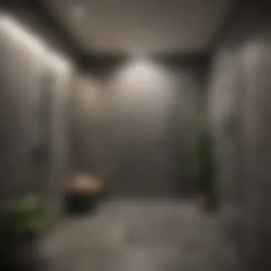 Maximizing Space with Walk-In Showers Innovative space-saving design of a walk-in shower