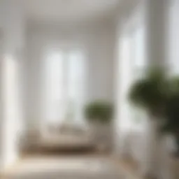 Minimalist room with white curtains and white walls