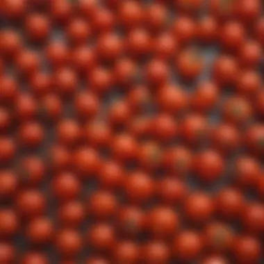 An array of cherry tomatoes harvested and ready for culinary use