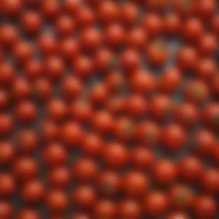 An array of cherry tomatoes harvested and ready for culinary use