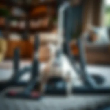 An array of vacuum attachments designed for efficient pet hair cleaning.