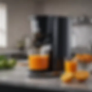 A modern juicer showcasing sleek design and functionality