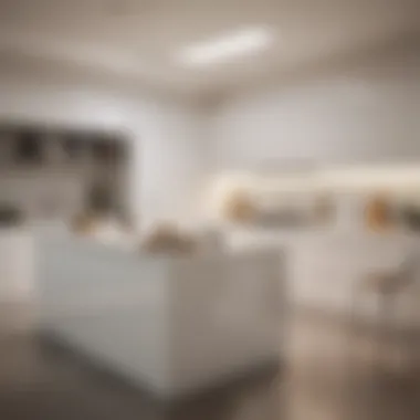 Bright kitchen featuring a cool off-white shade