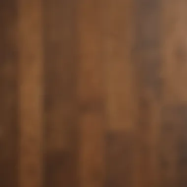 Close-up of various wood types used for flooring