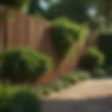 A stylish wooden garden fence surrounded by vibrant greenery